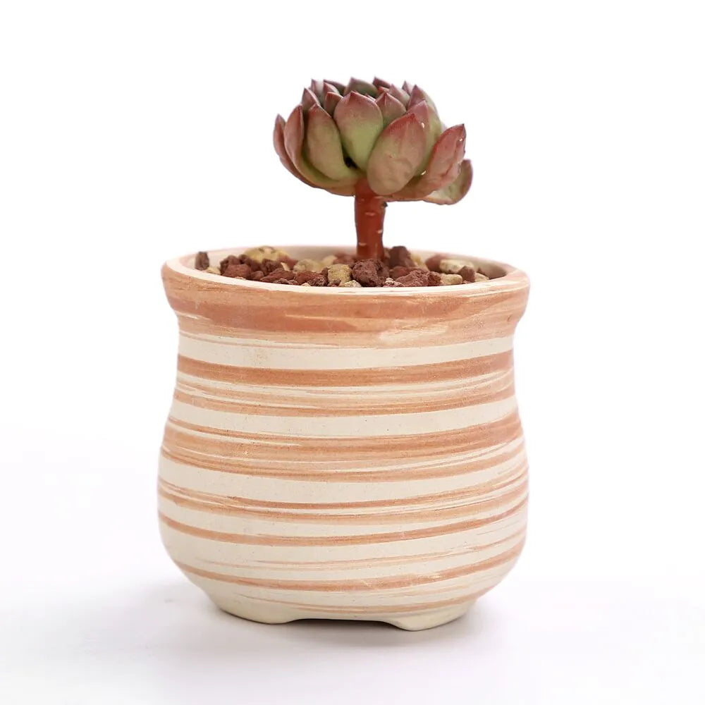 Sovrik striped succulent flower pots
