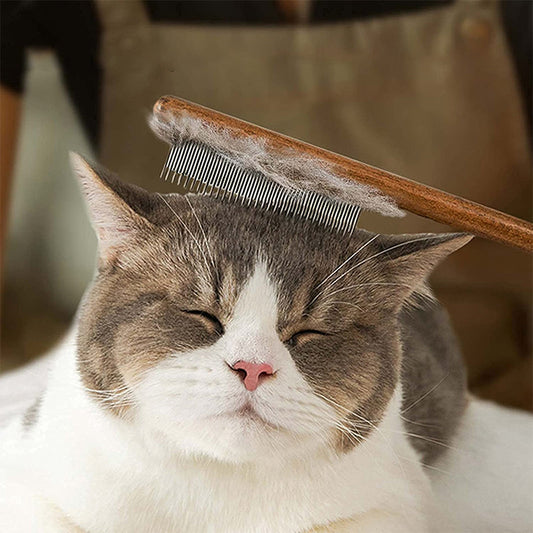 Sovrik Knot Comb with Wooden Handle