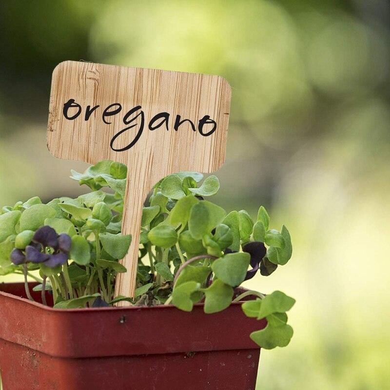 Sovrik Wooden Plates | Eco-friendly | Perfect for garden and balcony | Plant labels