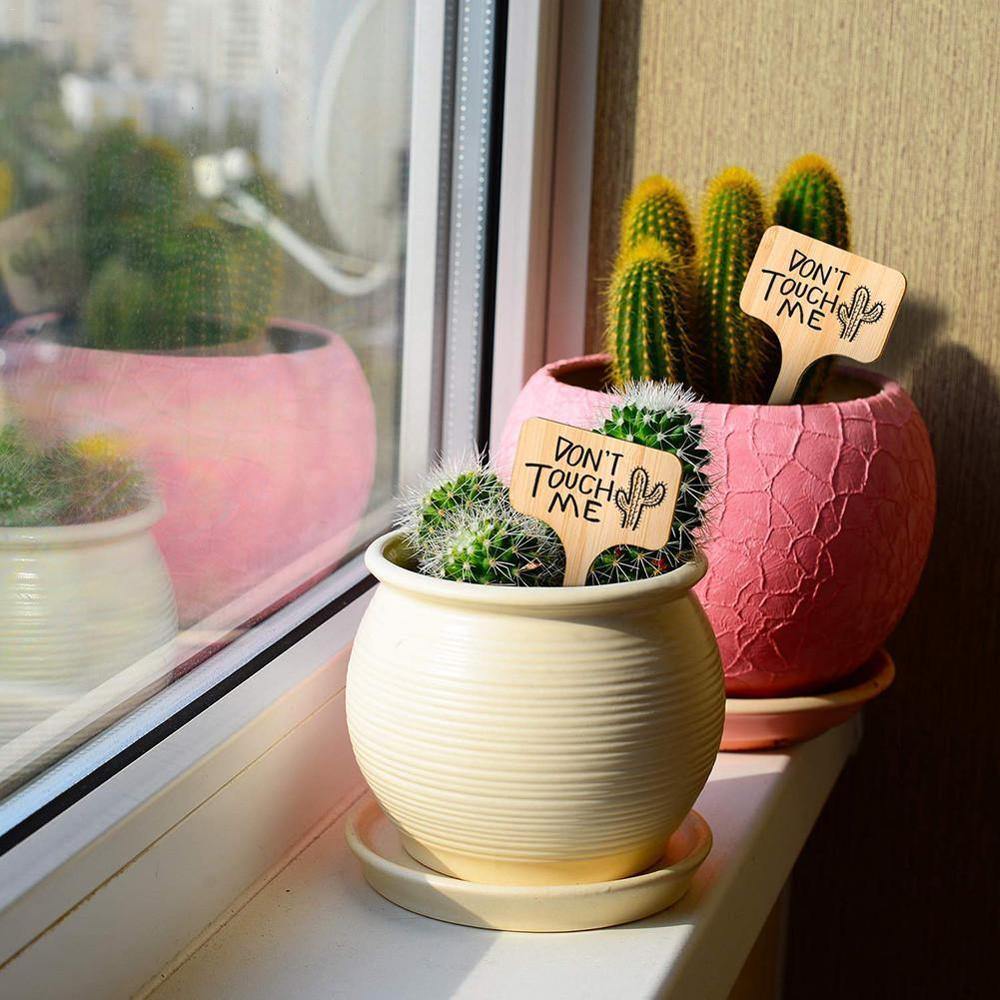 Sovrik Wooden Plates | Eco-friendly | Perfect for garden and balcony | Plant labels