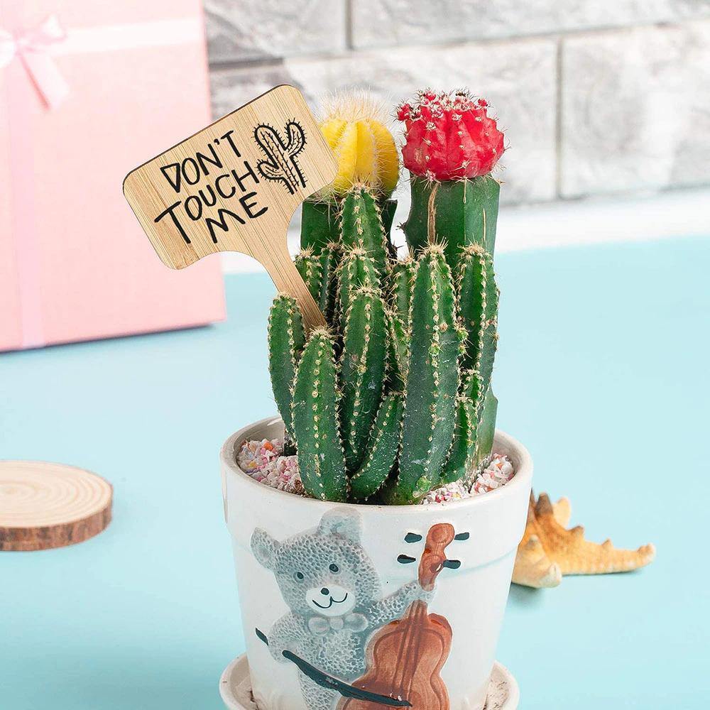 Sovrik Wooden Plates | Eco-friendly | Perfect for garden and balcony | Plant labels