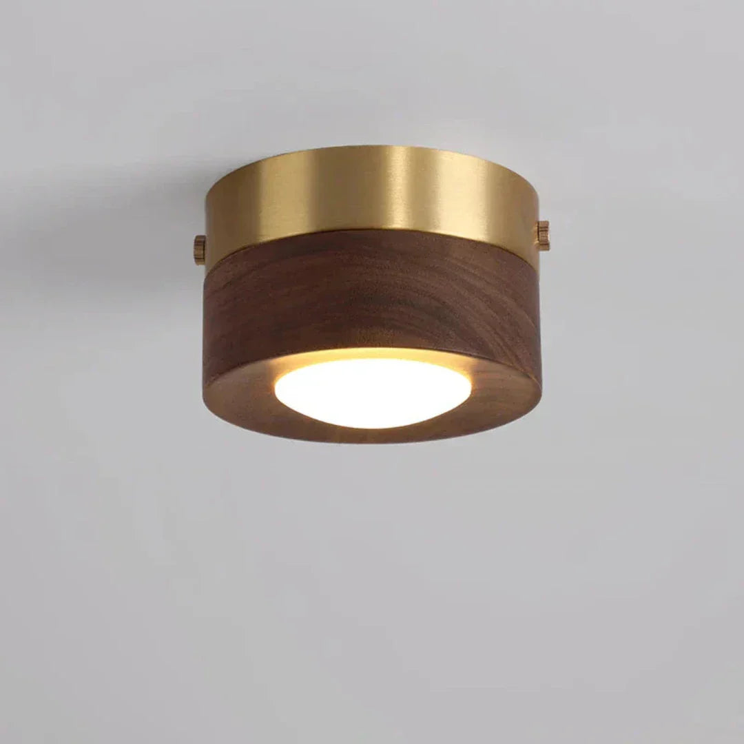 Sovrik - Walnut Ceiling Lamp with LED Spotlights