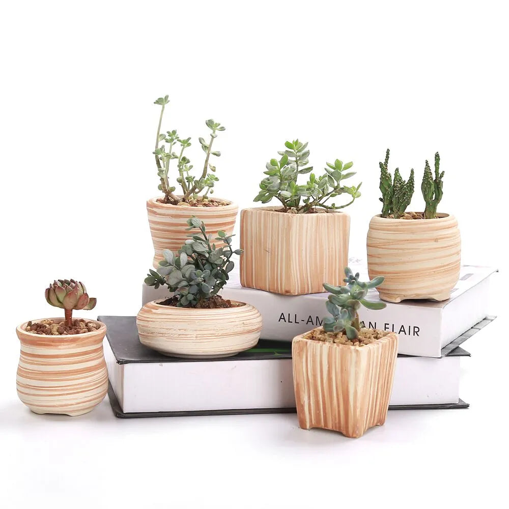 Sovrik striped succulent flower pots