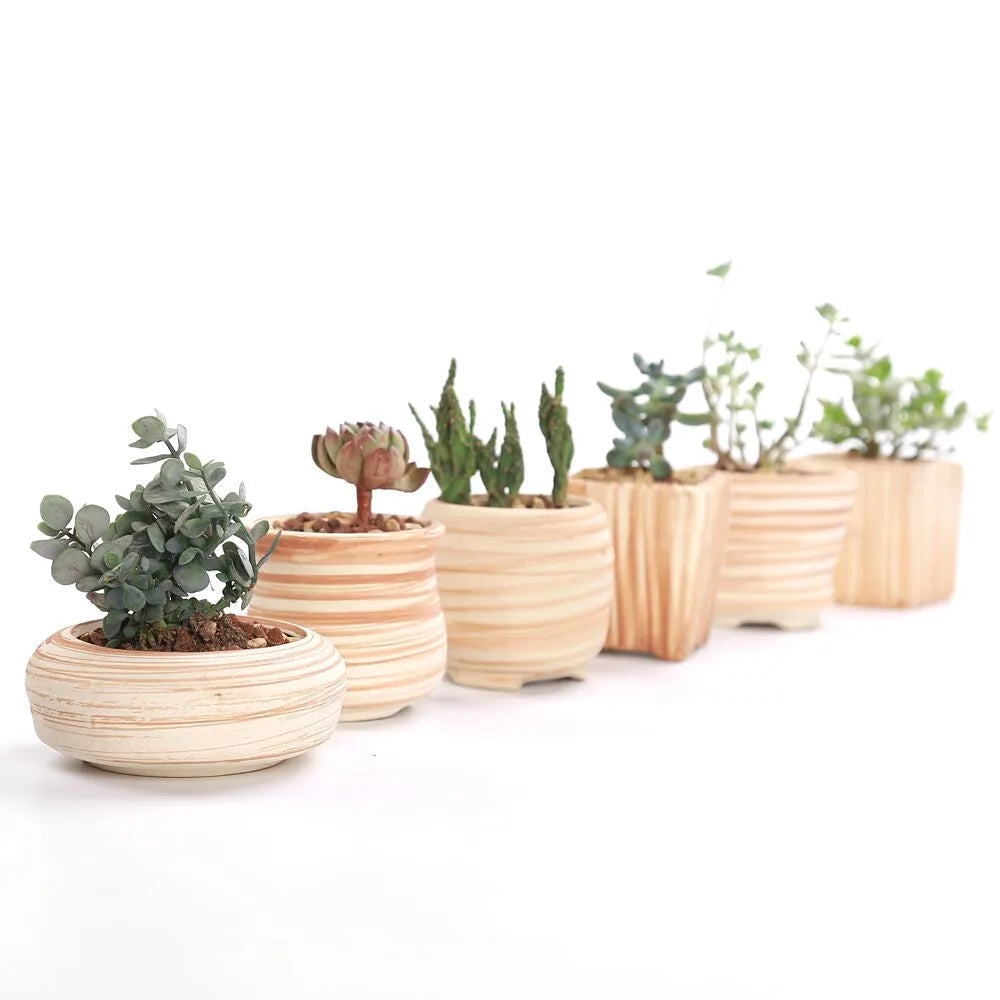 Sovrik striped succulent flower pots
