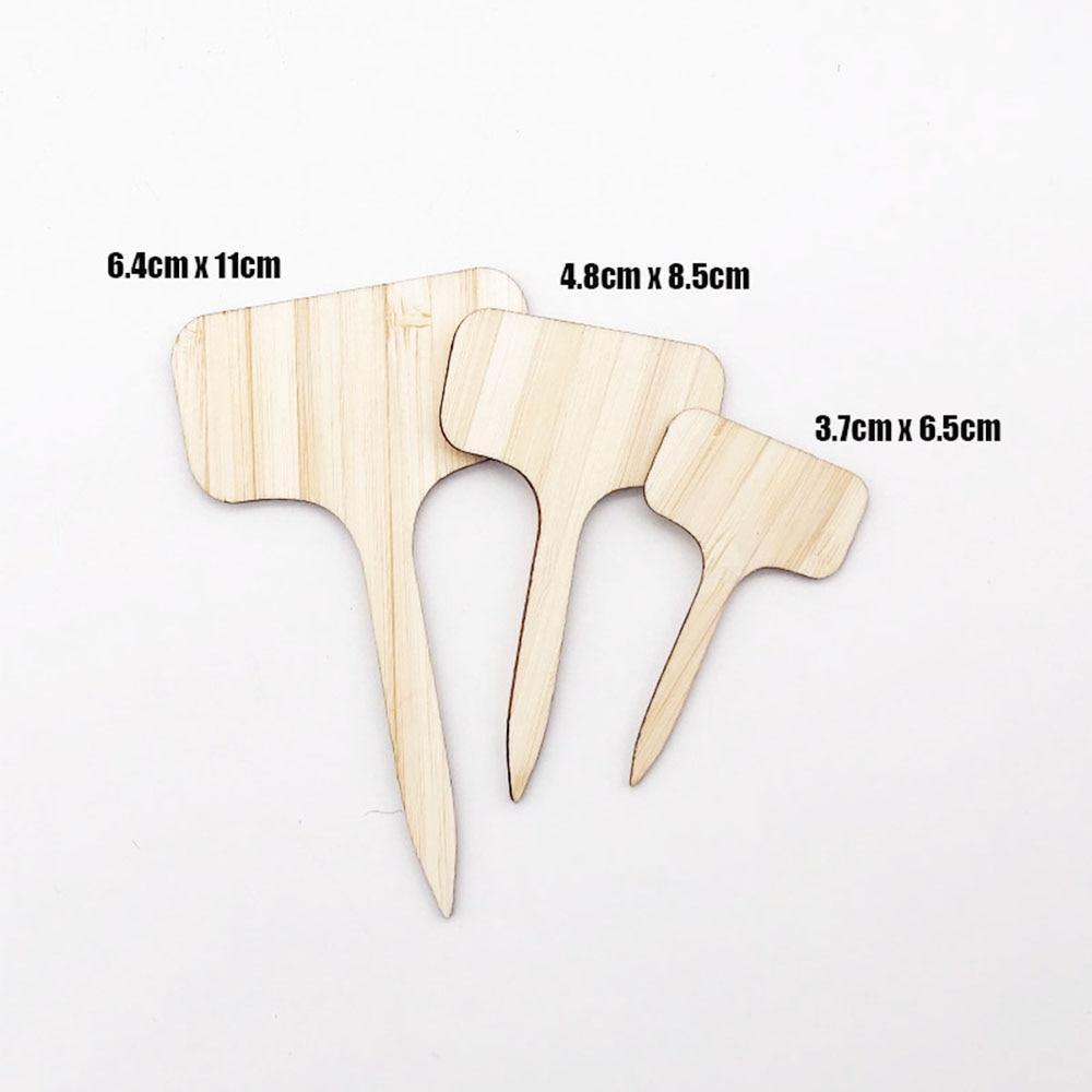 Sovrik Wooden Plates | Eco-friendly | Perfect for garden and balcony | Plant labels