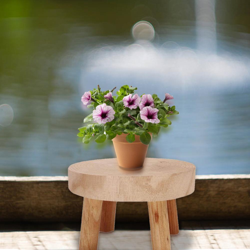 Sovrik Wooden Plant Holder | Raised Flower Pot Holder | Minimalist Design | Perfect for the Living Room